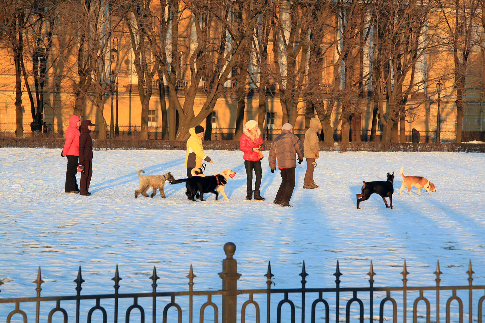 Saint Petersbourg - Mars 2012